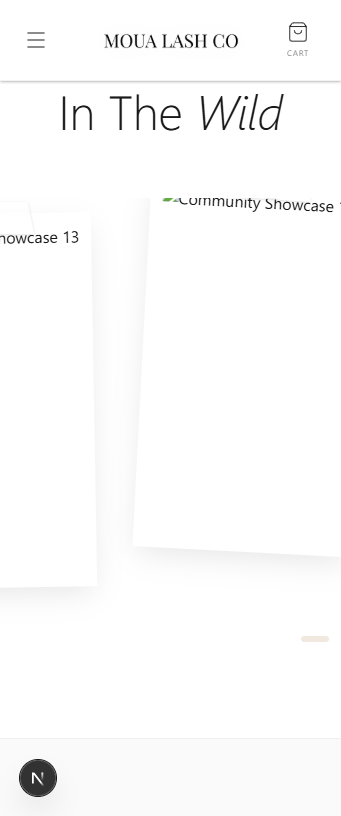 Community Showcase 13